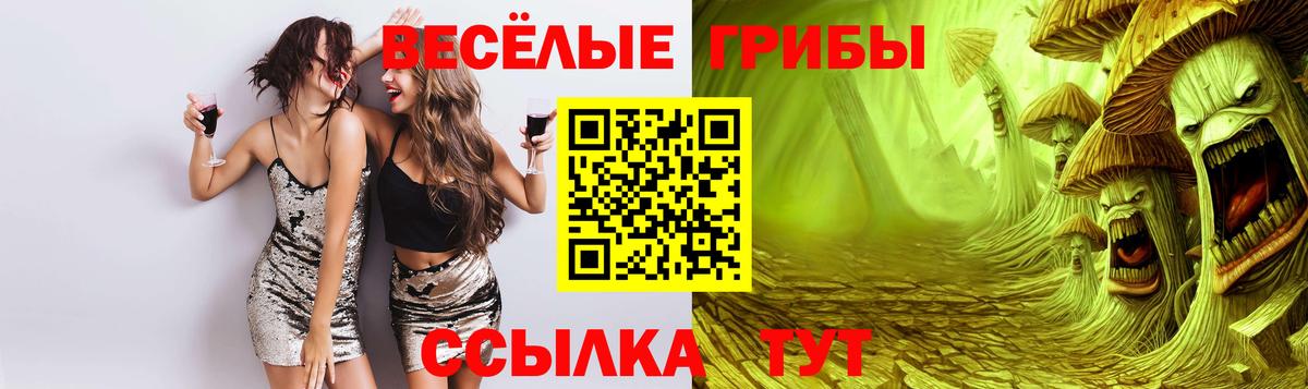 Карачаевск  Галлюциногенные грибы мухоморы  как найти закладки  Вход с VPN 